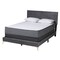 Baxton Studio Abberton Modern and Contemporary Grey Velvet and Gold Metal Queen Size Panel Bed 220-12849-ZORO - alternate 5
